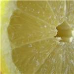 Extrait naturel de Citron jaune doux pour la Gastronomie - 30 Gr