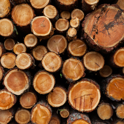 Woody Fragrance Base - 30 gr