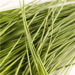 Huile essentielle de Ciboulette - 30 gr