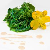 Extrait naturel d'Algue Verte pour la Gastronomie - 30 Gr