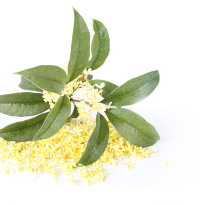 Extrait naturel d'Osmanthus pour la Gastronomie - 30 Gr