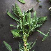 Extrait naturel de Sauge sclarée pour la Gastronomie - 30 Gr