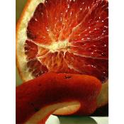 Extrait naturel d'Orange sanguine pour la Gastronomie - 30 Gr