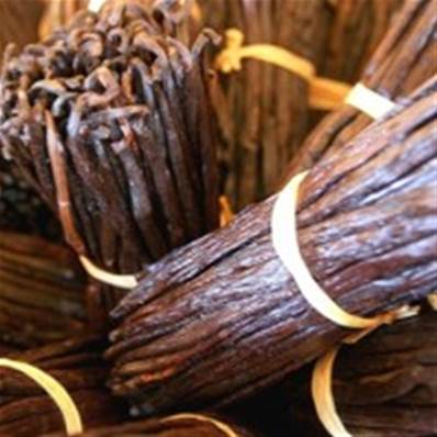 Absolue de Vanille Extra Bourbon  - 30 gr