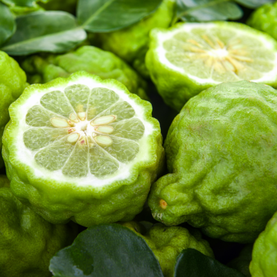 Huile essentielle de Bergamote - 30 gr