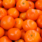 Extrait naturel de Mandarine rouge pour la Gastronomie - 30 Gr