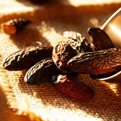 Extrait naturel de Fève de Tonka - 30 Gr