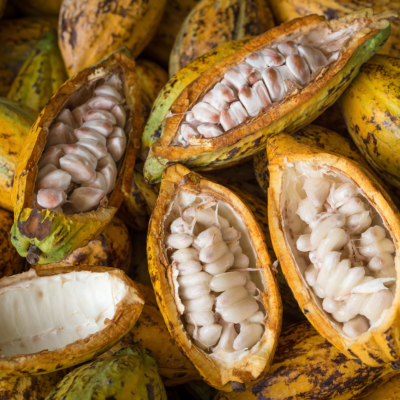 Absolue de Cacao - 30 gr
