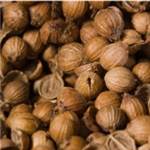 Huile essentielle de Coriandre (graines) - 30 gr