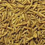 Huile essentielle de Carvi - 30 gr