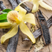 Composition naturelle Orchidées pour la Gastronomie - 30 gr
