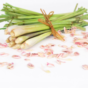 Extrait naturel de Lemongrass pour la Gastronomie - 30 Gr