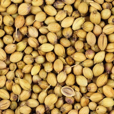 Huile essentielle de Coriandre (graines) - 30 gr
