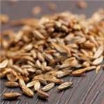 Huile essentielle de Carvi - 30 gr