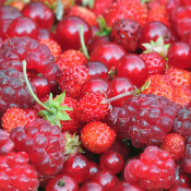Base parfumante de Fruits rouges - 30 gr