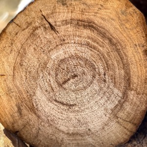 Huile essentielle de bois de Gaïac - 30 gr