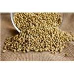 Extrait naturel de Coriandre graines pour la Gastronomie - 30 Gr