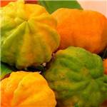 Extrait naturel d'Orange Amère pour la Gastronomie - 30 Gr