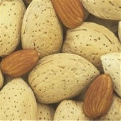 Huile essentielle d'Amande Amère - 30 gr