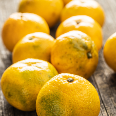 Extrait naturel de Mandarine jaune - 30 Gr