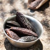 Absolue de F�ve Tonka - 30 gr