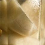 Huile essentielle de Gingembre racine sèche - 30 gr