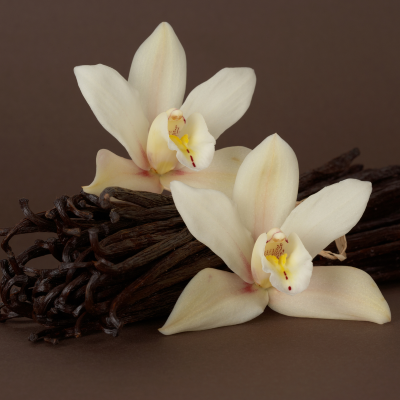 Acétanisole - 30 Gr