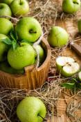 Composition naturelle Pomme verte pour la Gastronomie - 30 gr