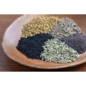 Mélange PANCH PHORON BENGALI - 30 Gr