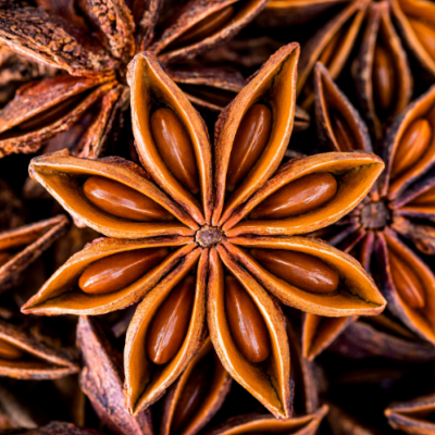 Extrait naturel de Badiane pour la Gastronomie - 30 Gr