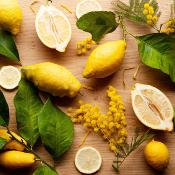 Extrait naturel de Citron jaune doux pour la Gastronomie  - 30 Gr