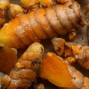 Huile Essentielle de Curcuma - 30 gr