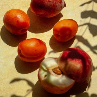 Base parfumante Pêche Abricot - 30 gr