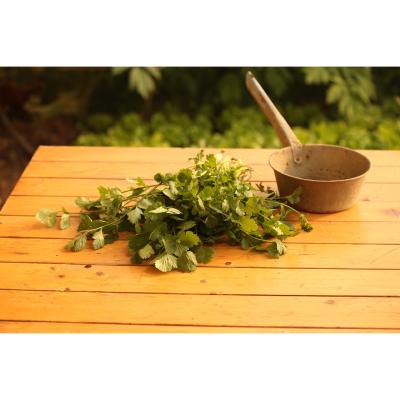 Mélange CORIANDRE TUNISIENNE - 30 Gr