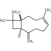 Beta Caryophyllène - 30 Gr