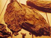 Extrait naturel de Tabac pour la Gastronomie - 30 Gr